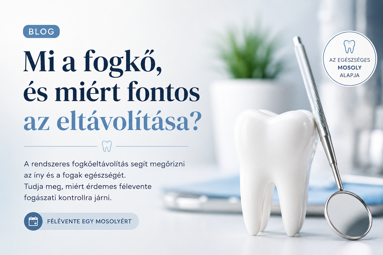 Mi a fogkő, és miért fontos az eltávolítása?
